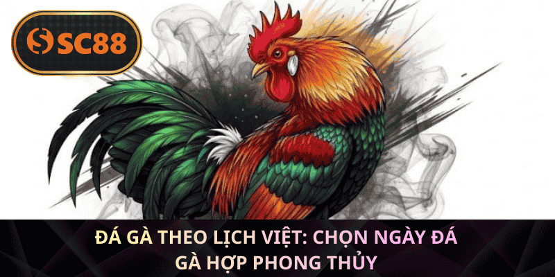 Đá gà theo lịch Việt: Chọn ngày đá gà hợp phong thủy